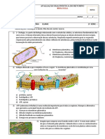 Avaliação Diagnóstica de Retorno 1 Série Bio