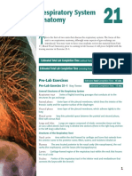 Respiratory System Anatomy: Pre-Lab Exercises