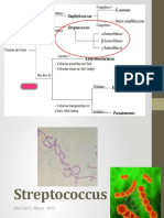 Streptococcus