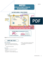 Notes: Hypoglycemics: Insulin Secretagogues