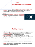 Exp-7 Training and Pruning For Agro Forestry Trees