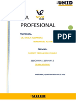 Proyecto Final ETICA PROFESIONAL