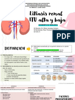 Litiasis Renal ITU Alta y Baja: Segmento de Urologia