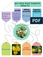 Bosque Muy Seco Tropical (BMS-T)