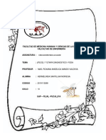 1°etapa Diagnostico Del (Pece)