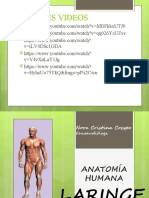 Anatomía Humana Laringe