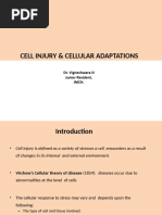 Cellular Injury and Adaptations