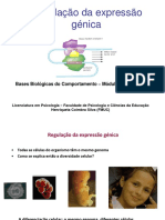 Regulação Da Expressão Génica A2