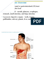 Physiology of Digestive System