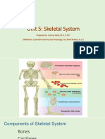 BSN1 Unit 5 Skeletal System