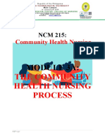 The Community Health Nursing Process