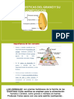 Caracteristicas Del Grano y Su Composicion