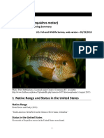 Yellow Acara (Aequidens Metae) : Ecological Risk Screening Summary