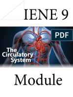 Lesson 1 - Module 1 - Circulatory System