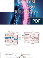 Spine 1 Kondisi Tulang Belakang