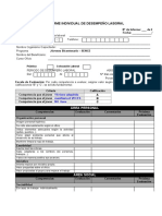 Anexo2 - Informe de Desempeno Laboral