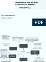 Mapa Conceptual