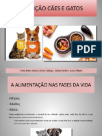 Nutrição Cães e Gatos