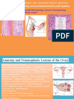 4D Ovary