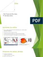 Anatomia Da Retina - Aula Modificada Falar