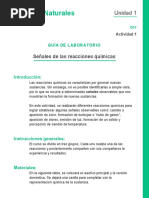 Guia Laboratorio (Señales Reacciones Quimicas)