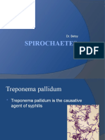 BN 1-9-21 Spirochetes