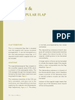 z Scapular and Parascapular Flap