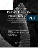 P3 - Parasitosis de Grupo