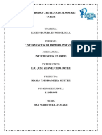 Intervención de Primera Instancia Informe