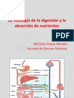 La Fisiología de La Digestión y La Absorción 2020