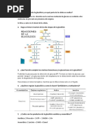 Preguntas Glucolisis