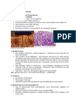 Neoplasias Intestinais