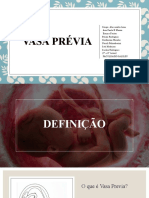 Vasa Prévia - Completo Escrito