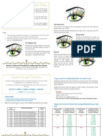 Eye Styling - With Example Lash Maps: The Monroe Set