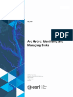 Arc Hydro - Identifying and Managing Sinks