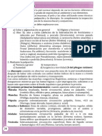 Inspección y La Palpación y La Diascopia. Se Complementa La Inspección