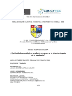 Ind Cualitativa-Iniciativas Ecologicas-Pandemia