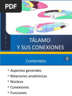 02 El Tálamo y Sus Conexiones