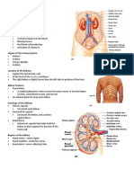 Handouts - Urinary System Sp11 BIO 160