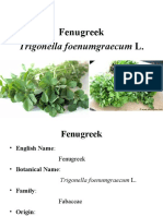 Fenugreek: Trigonella Foenumgraecum L