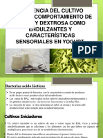 EXPO MICROBIOLOGIA TURNO A - YOGURT 11 Junio