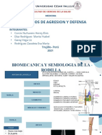 Biomecanica de La Rodilla