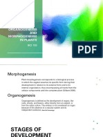 Organogenesis and Morphogenesis in Plants