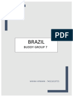 International Business in Brazil