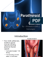 Parathyroid Gland Anatomy