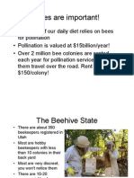 Bees Are Important! Bees Are Important!