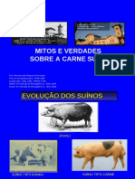 Aula Mitos e Verdades Sobre A Carne Suína