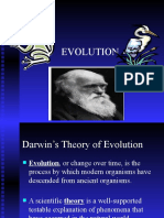 Darwin Evolution