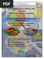 Informe N°1 Microbiología