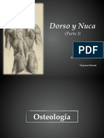 TP2 - Dorso (Instituto) Parte I